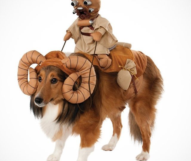 Star-Wars-Bantha-chien-Costume