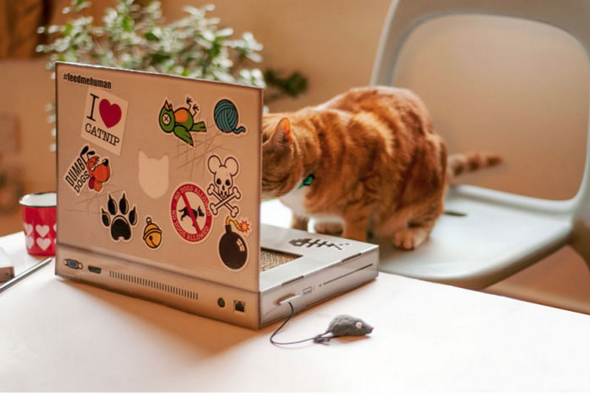 griffoir chat ordinateur