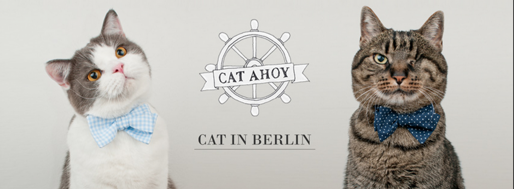 cat-in-berlin-mode-chat-14