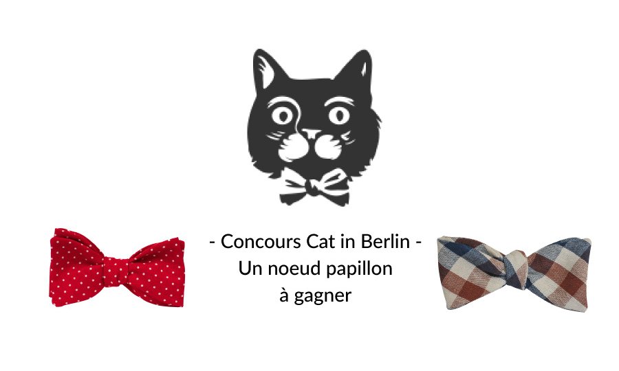 cat-in-berlin-chat