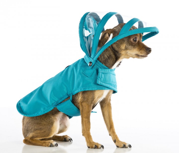 manteau pluie grand chien