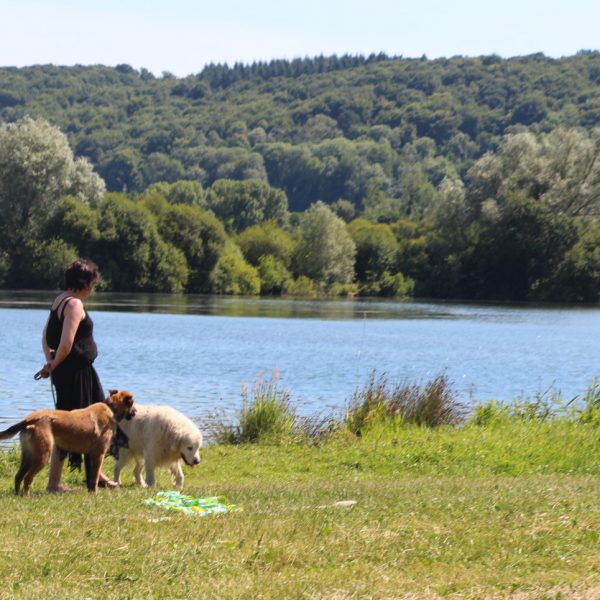 week-end pet friendly pour partir avec son chien en Normandie à Pont Audemer et au Petit Coq aux Champs comme hôtel qui accepte les chiens et les animaux