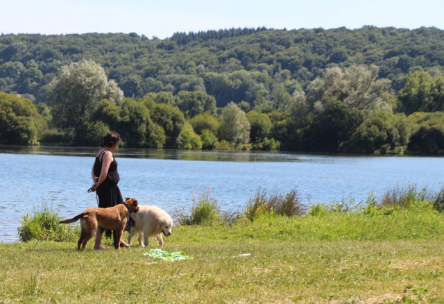 week-end pet friendly pour partir avec son chien en Normandie à Pont Audemer et au Petit Coq aux Champs comme hôtel qui accepte les chiens et les animaux