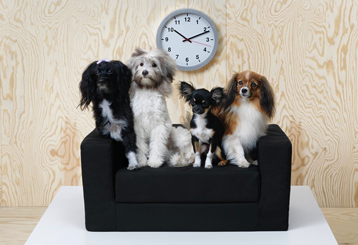 animalerie ikea decoration animaux chien chat animal mobilier