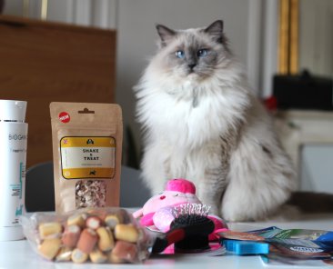 animalerie en ligne petfood box pour chien et chat woufbox miaoubox