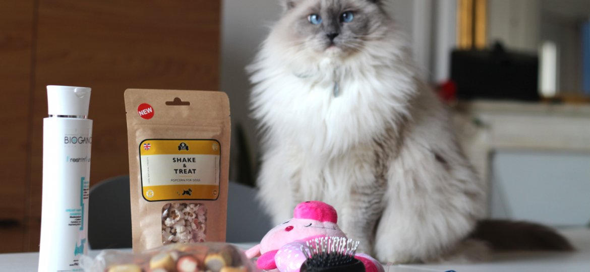 animalerie en ligne petfood box pour chien et chat woufbox miaoubox