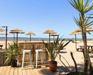 camping-Landes-avec-son -chien-grand-OK