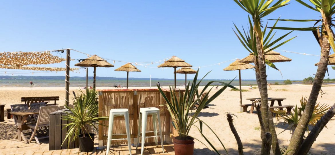 camping-Landes-avec-son -chien-grand-OK