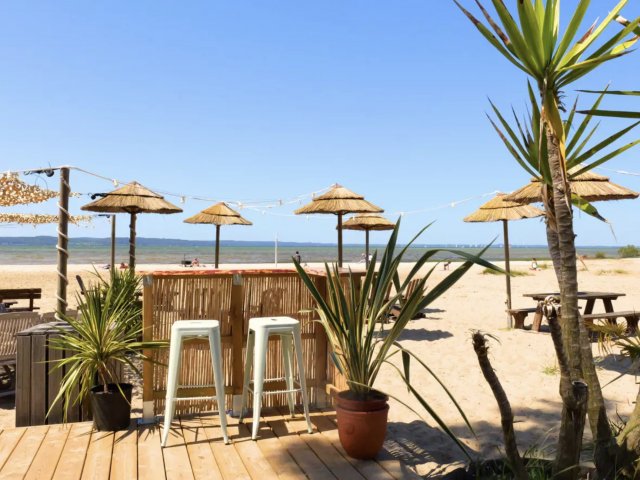 camping-Landes-avec-son -chien-grand-OK