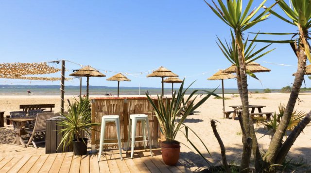 camping-Landes-avec-son -chien-grand-OK